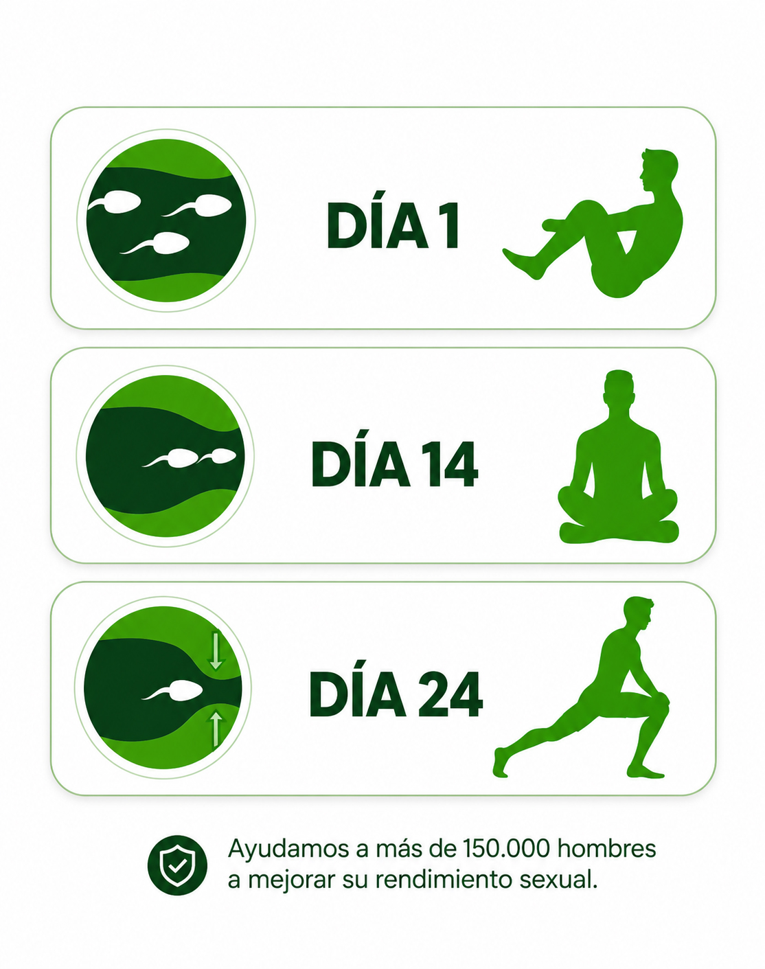 Plan de entrenamiento